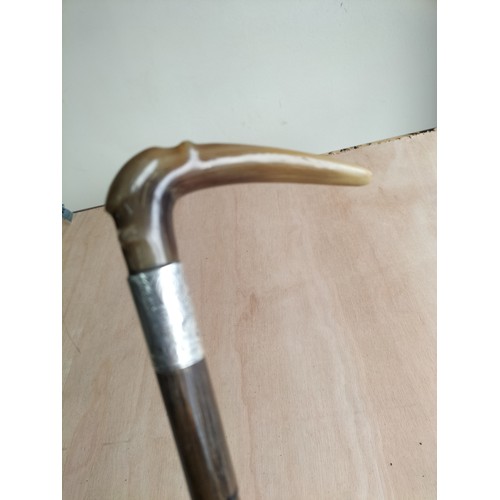 67 - Silver Banded Horn Handled Walking Cane