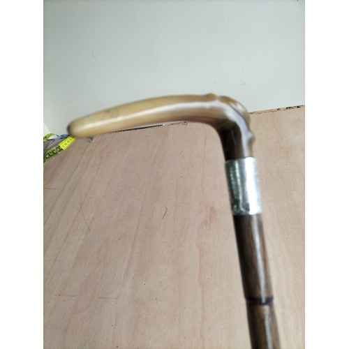 67 - Silver Banded Horn Handled Walking Cane