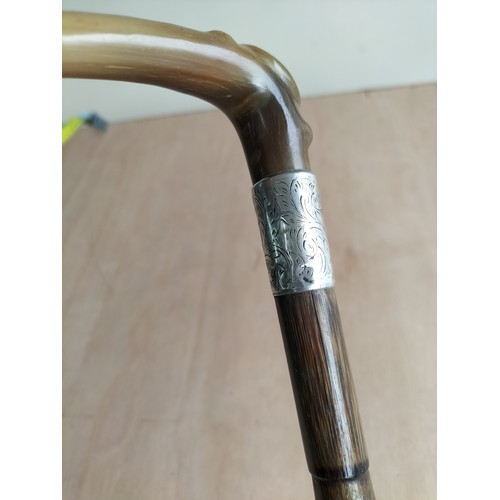 67 - Silver Banded Horn Handled Walking Cane