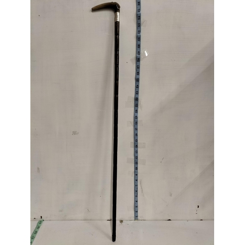 75 - Horn Handle Silver Banded Walking Cane