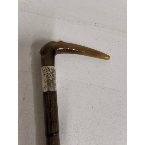 75 - Horn Handle Silver Banded Walking Cane