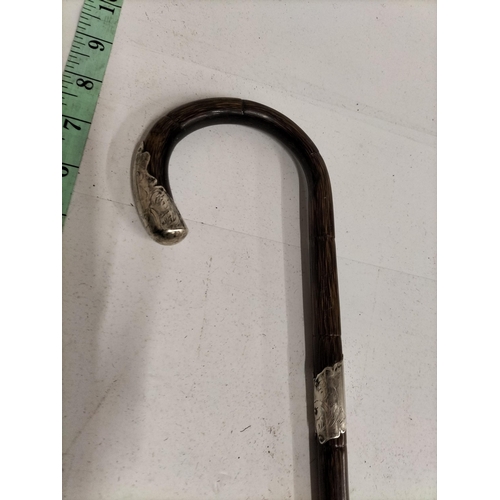 77 - Silver Mounted Walking Cane