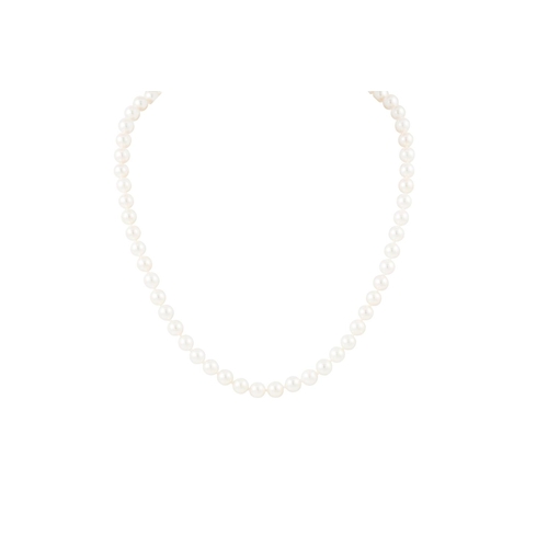 169 - A PEARL NECKLACE, the pearls measuring 7 mm, to a ruby and pearl 18ct gold clasp