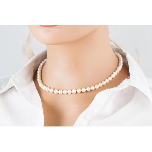 169 - A PEARL NECKLACE, the pearls measuring 7 mm, to a ruby and pearl 18ct gold clasp