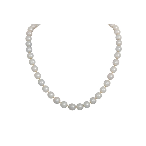 454 - A CULTURED PEARL NECKLACE, with a gold clasp