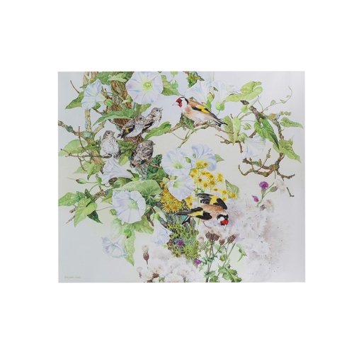 278 - ELIZABETH WALSH (Isle of Man, Contemporary), 'Goldfinches with Fledglings', watercolour, signed, 42.... 