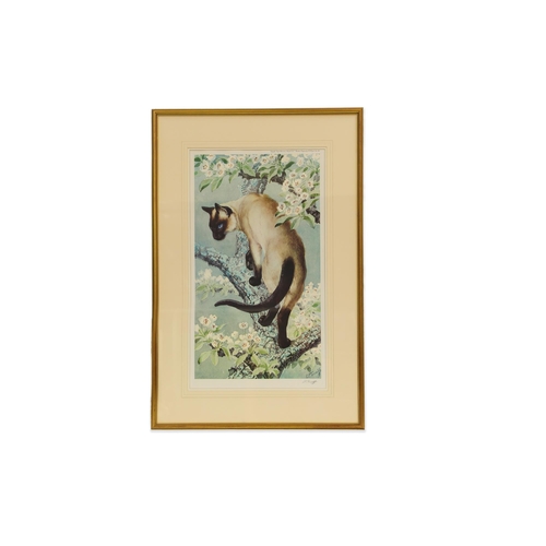 566 - AFTER C. F. TUNCLIFFE RA (1901 - 1979), Untitled print of a Siamese cat, signed, 67 x 38 cm