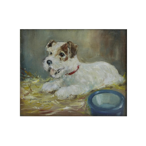 586 - A PAIR OF NORMAN SCOTT (1913 - 1978) PAINTINGS, one of a terrier, titled 'Snosler', Oil on Board, 12... 