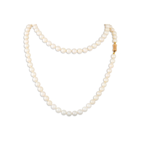 220 - A SET OF VINTAGE CULTURED PEARLS, to a 14ct gold clasp