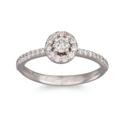 247 - A DIAMOND HALO CLUSTER RING, the brilliant cut diamonds mounted in 18ct white gold. Estimated: weigh... 