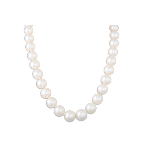 261 - A PEARL NECKLACE, the large Australian pearls with cream tones, gold clasp