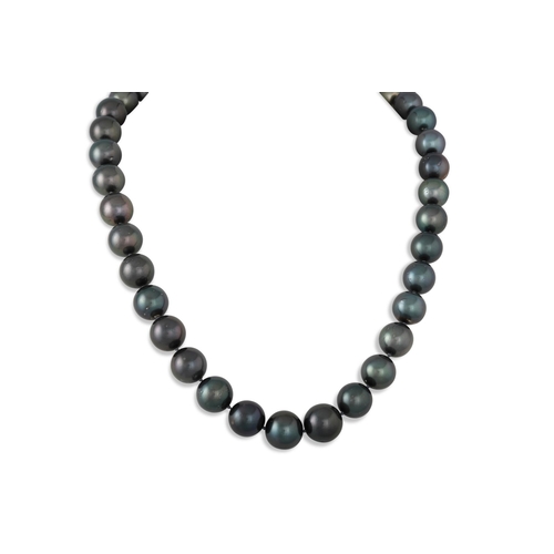 262 - A TAHITIAN PEARL NECKLACE, the large pearls in black/grey tones, gold clasp