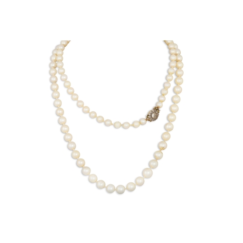 302 - A VINTAGE SET OF GRADUATED CULTURED PEARLS, to an old cut diamond set clasp