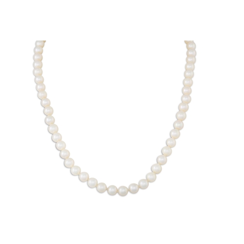 11 - A SET OF CULTURED PEARLS, to a ball clasp, in 14ct gold