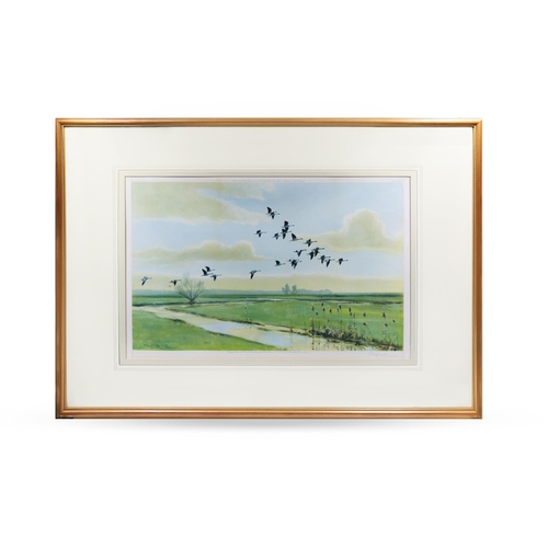 490 - AFTER SIR PETER SCOTT, Geese in flight over canals