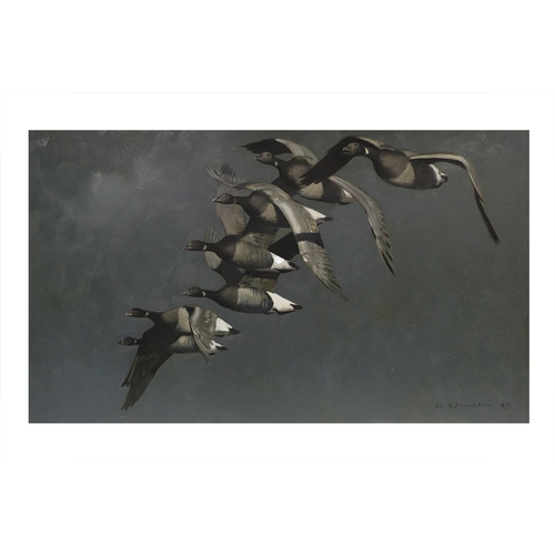 511 - KEITH SHACKLETON (1923 - 2015), 'Brent Geese in Flight', oil on board, signed and dated '69, 60cm x ... 