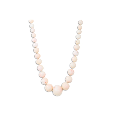 104 - A GRADUATED SET OF CORAL BEADS, the pale pink beads to a gold clasp