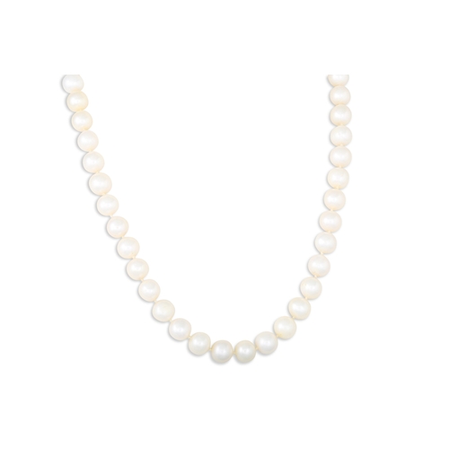 31 - A SET OF CULTURED PEARLS, to a 14ct gold clasp with brushed finish, together with a pair of matching... 