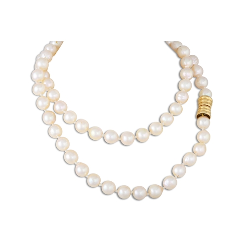 39 - A SET OF CULTURED PEARLS, to an 18ct gold bayonet clasp