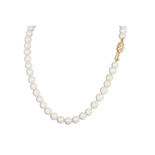 26 - A CULTURED PEARL NECKLACE, to a yellow gold clasp