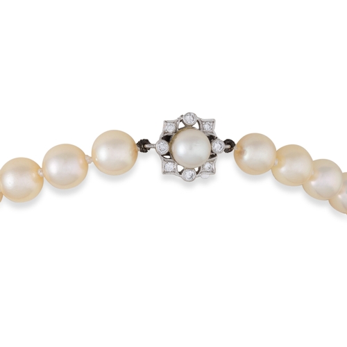 211 - A SINGLE ROW OF CULTURED PEARLS, to a diamond and pearl cluster clasp, central diamond panel and dro... 