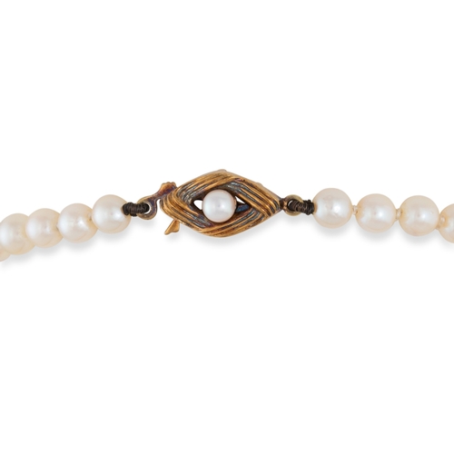 247 - A SET OF CULTURED PEARLS, graduated, to a pearl set 14ct gold clasp