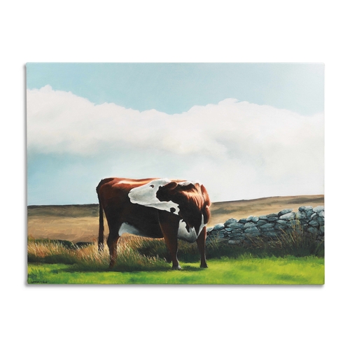 504 - CORRINA EARLIE (IRISH CONTEMPORARY) 'Burren cow' oil on canvas stretched over board, signed bottom l... 