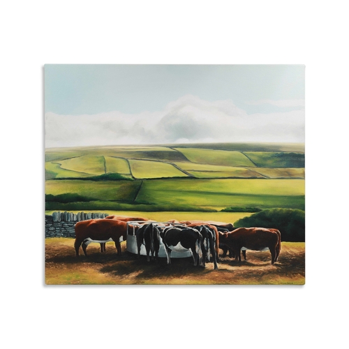 505 - CORRINA EARLIE (IRISH CONTEMPORARY) 'Cluster of cows feeding' Co Clare, oil on canvas stretched over... 