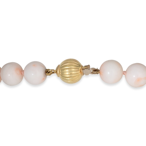 173 - A PALE PINK MEDITERRANEAN CORAL NECKLACE, to a yellow gold clasp