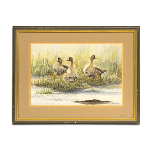 473 - DAVID DALY (Irl Contemporary) Ducks in Marsh lands, water colour Re-glaze