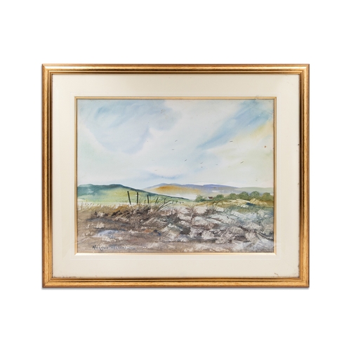 480 - NORMAN TEELING, (Irl B1944) untitled Irish landscape, water colour, signed, 20 x 15