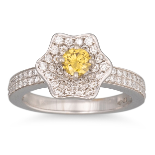 175 - A DIAMOND FLOWER CLUSTER RING, set with a fancy yellow diamond to centre, pavé surround, in 18ct whi... 