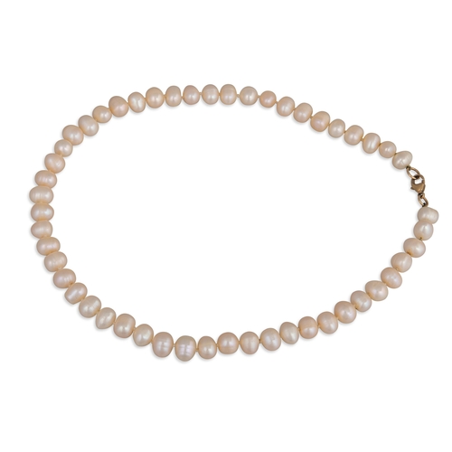 50 - A CULTURED PEARL NECKLACE, to a 9ct yellow gold clasp