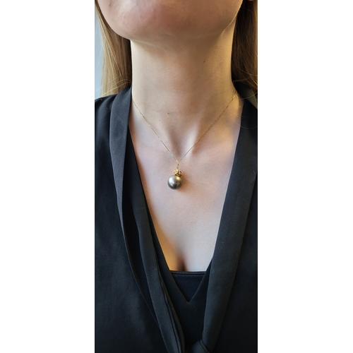 191 - A TAHITIAN PEARL PENDANT, mounted in 14ct yellow gold, on a 18ct yellow gold chain