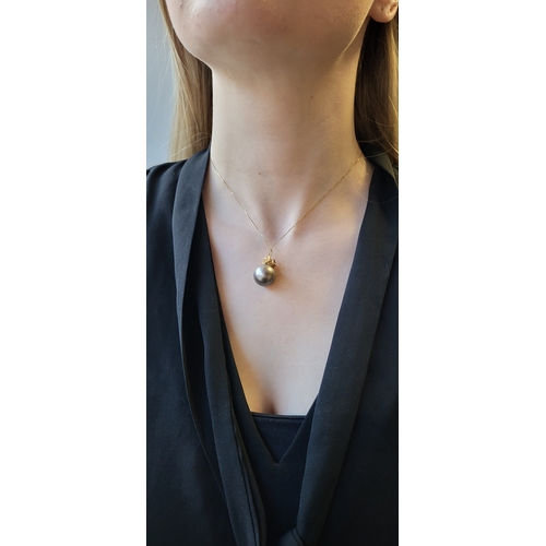 191 - A TAHITIAN PEARL PENDANT, mounted in 14ct yellow gold, on a 18ct yellow gold chain