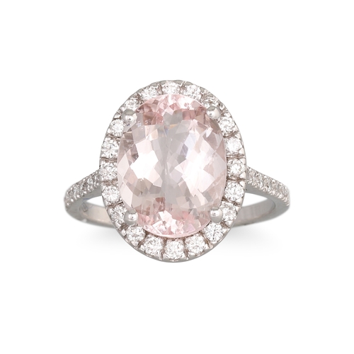 146 - A MORGANITE AND DIAMOND RING, oval stone diamond surround and shoulders, mounted in 18ct white gold.... 