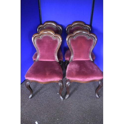 189 - SET OF SHAPED VICTORIAN MAHOGANY CHAIRS