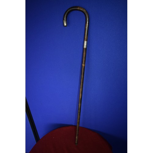 139 - SILVER TRIMMED WALKING STICK