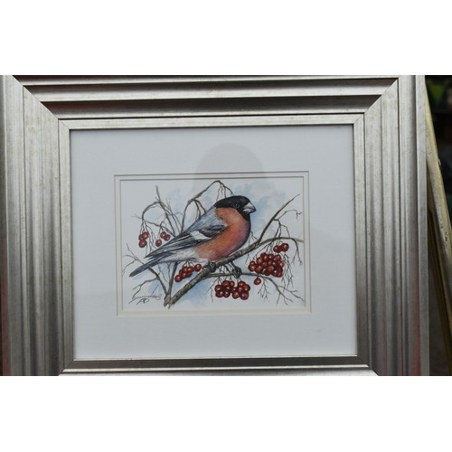 Lot 72        