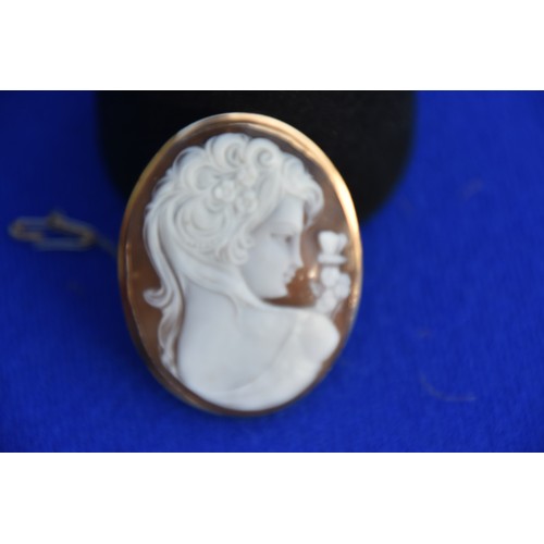 189 - 9CT GOLD MOUNTED CAMEO BROOCH 5CM BY 4CM BOXED