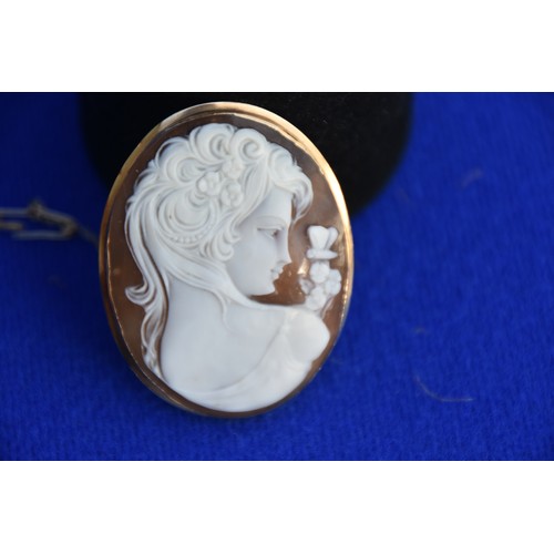 189 - 9CT GOLD MOUNTED CAMEO BROOCH 5CM BY 4CM BOXED