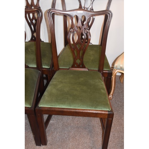 289 - 8 CHIPPENDALR STYLE CHAIRS (2 CARVERS AND 6 CHAIRS)