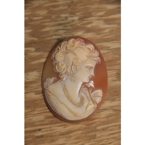 255A - CAMEO