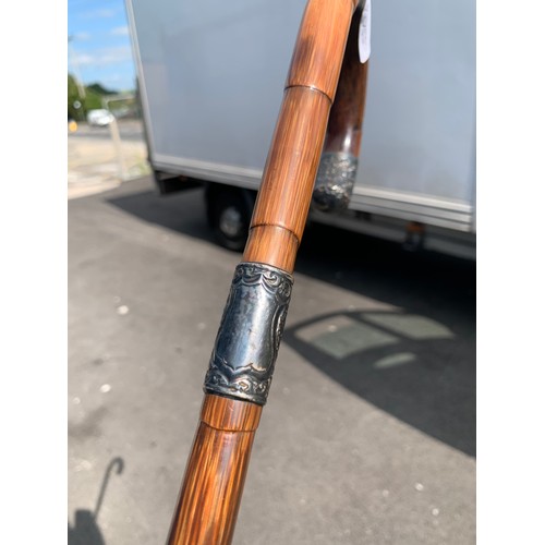 350A - SILVER TIPPED WALKING STICK