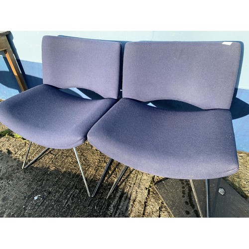 130 - A PAIR OF BLUE VELOUR CHAIRS ON CHROME BASE