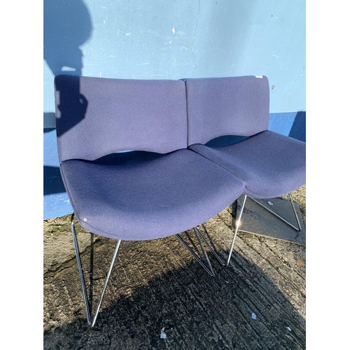 130 - A PAIR OF BLUE VELOUR CHAIRS ON CHROME BASE