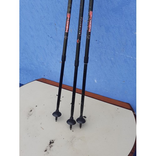 57 - 3 HIKING STICKS