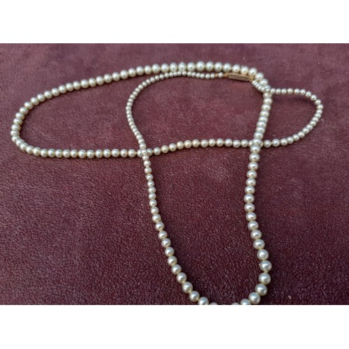 692 - A VICTORIAN PEARL NECKLACE WITH 9ct CLASP IN ORIGINAL BOX