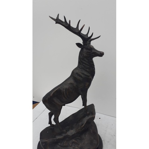 704 - A PAIR OF BRONZE STAGS ON MARBLE PLINTHS 26IN TALL