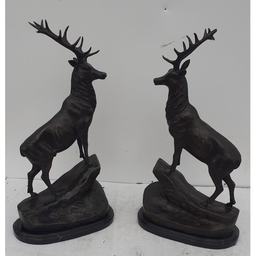 704 - A PAIR OF BRONZE STAGS ON MARBLE PLINTHS 26IN TALL